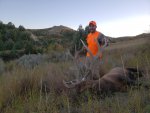 elk8.jpg