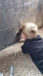 VideoCapture_20180924-090729.jpg VideoCapture_20180924-090729.jpg