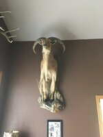IMG_0007.jpeg