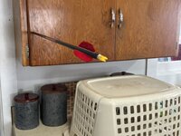 B1F6D240-A884-46B8-A40A-015CE543A329.jpeg B1F6D240-A884-46B8-A40A-015CE543A329.jpeg