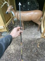 299C1AF5-92B5-4DF4-AAA3-456ACFEA6D7C.jpeg