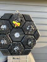 28F5C556-34B9-4383-86CA-A772D1E047DF.jpeg