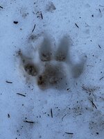 3F34010A-97CF-494E-A055-E616612969B7.jpeg