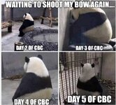 CBC_meme.jpg