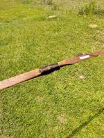 IMG_2772.jpeg
