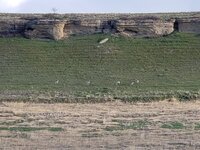 20230504_073432.jpg