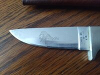 IMG_20220106_142852514.jpg