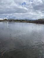 IMG_5741.jpeg