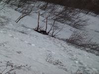 Picture 2678_zps0awohzpl.png