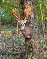 IMG_6822A.JPG