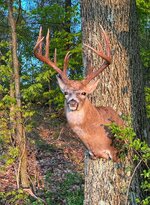 IMG_6831A.JPG