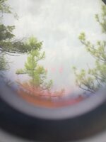 956E3D20-AA41-4564-B9D0-00DF570DB480.jpeg