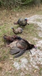 IMG_3913.JPG