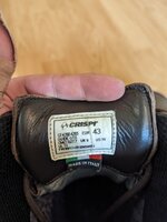 PXL_20230508_203135532.jpg