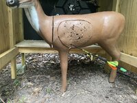 IMG_2469.jpeg