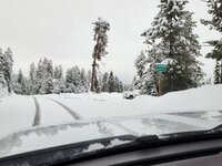 20230509_073459.jpg