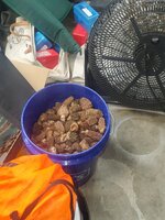 20220611_200351.jpg