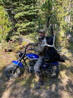 Wyoming dead head elk.jpg