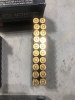 IMG_4395.jpeg