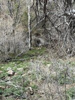 IMG_4680.jpg