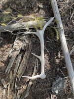 IMG_4690.jpeg