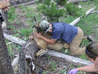 DSCF2357.JPG