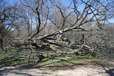 IMG_3655 copy.jpg