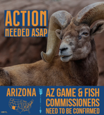 AZ COMMISSIONERS copy ROKSLIDE-1.png