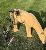 IMG_4091.jpeg