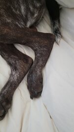 20230518_120644.jpg