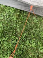 IMG_4889.jpeg IMG_4889.jpeg