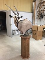 IMG_1289.jpeg