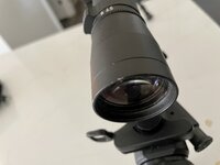 IMG_3807.jpeg