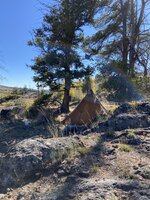 IMG_1555.jpeg