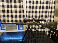 IMG_0378.jpeg