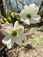 IMG_1002.jpeg