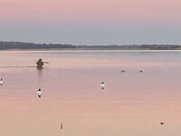 IMG_0788.jpeg