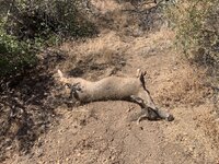 IMG_1429.JPG