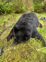 IMG_1671.jpeg