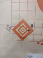 IMG_20211122_095535658.jpg
