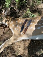 IMG_4800.jpeg