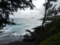 DSCN0281.JPG