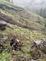 IMG_7110.jpeg