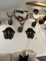 IMG_2084.jpg