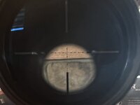 IMG_7338.jpeg