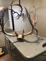 IMG_1710.jpeg