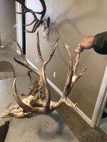 IMG_1713.jpeg