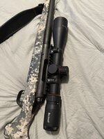 IMG_4300.jpeg
