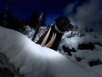 0ABC5A09-0018-4920-BD82-AE91060ED752.jpeg