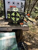 IMG_7533.jpeg IMG_7533.jpeg